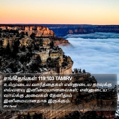 சங்கீதங்கள் 119:103 TAMIRV Bible Verse Image
