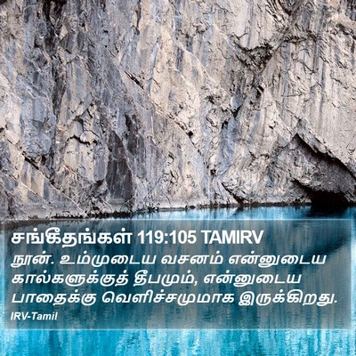 சங்கீதங்கள் 119:105 TAMIRV Bible Verse Image