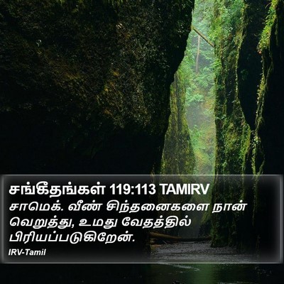 சங்கீதங்கள் 119:113 TAMIRV Bible Verse Image