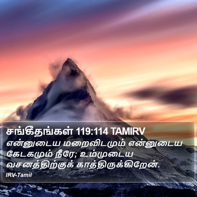 சங்கீதங்கள் 119:114 TAMIRV Bible Verse Image