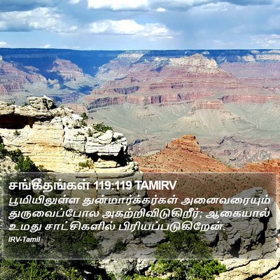 சங்கீதங்கள் 119:119 TAMIRV Bible Verse Image