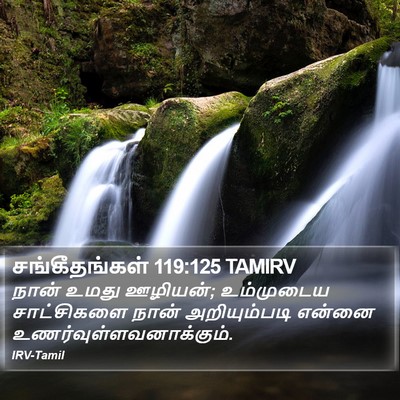 சங்கீதங்கள் 119:125 TAMIRV Bible Verse Image