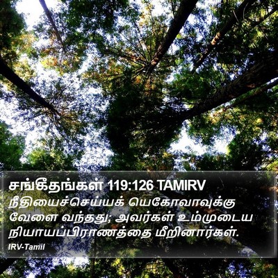 சங்கீதங்கள் 119:126 TAMIRV Bible Verse Image