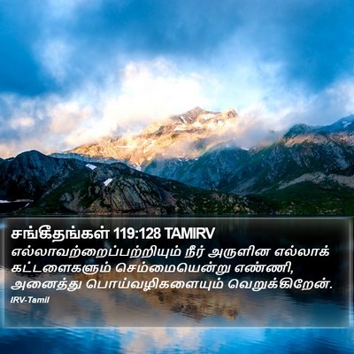 சங்கீதங்கள் 119:128 TAMIRV Bible Verse Image