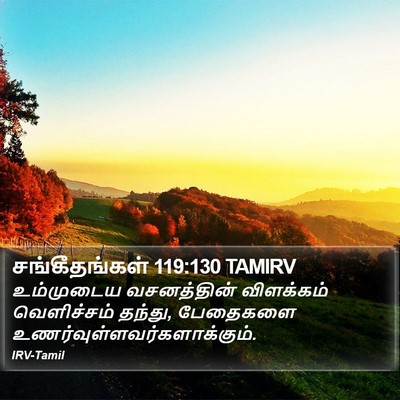 சங்கீதங்கள் 119:130 TAMIRV Bible Verse Image