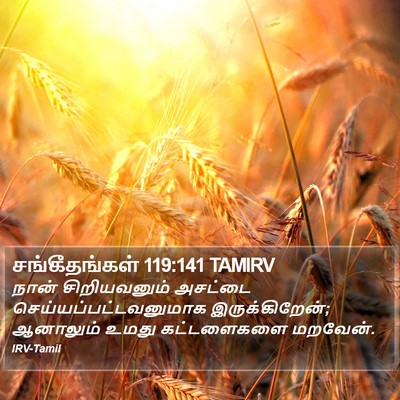 சங்கீதங்கள் 119:141 TAMIRV Bible Verse Image