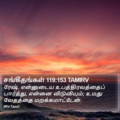 சங்கீதங்கள் 119:153 TAMIRV Bible Verse Image