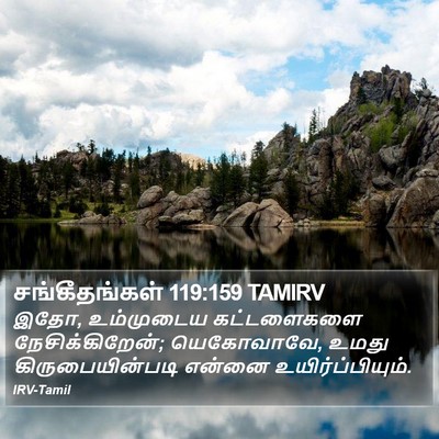 சங்கீதங்கள் 119:159 TAMIRV Bible Verse Image