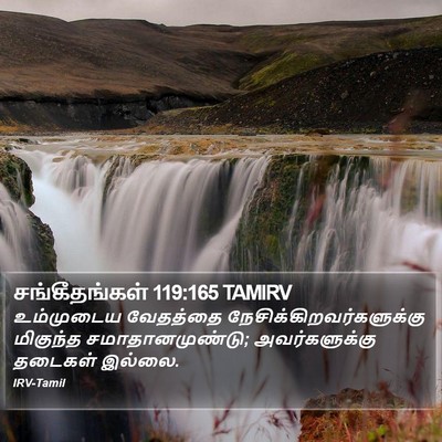 சங்கீதங்கள் 119:165 TAMIRV Bible Verse Image