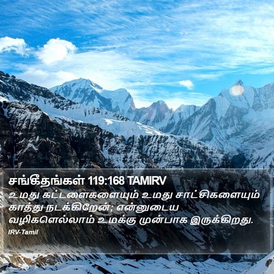 சங்கீதங்கள் 119:168 TAMIRV Bible Verse Image