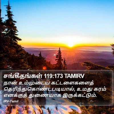சங்கீதங்கள் 119:173 TAMIRV Bible Verse Image