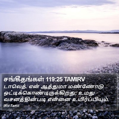 சங்கீதங்கள் 119:25 TAMIRV Bible Verse Image