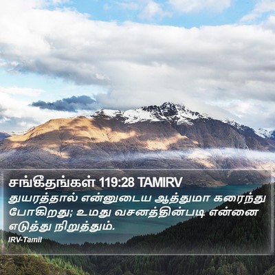 சங்கீதங்கள் 119:28 TAMIRV Bible Verse Image