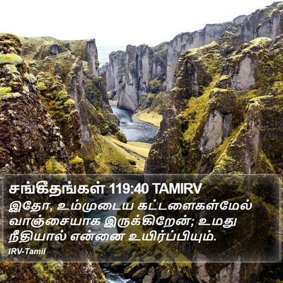 சங்கீதங்கள் 119:40 TAMIRV Bible Verse Image