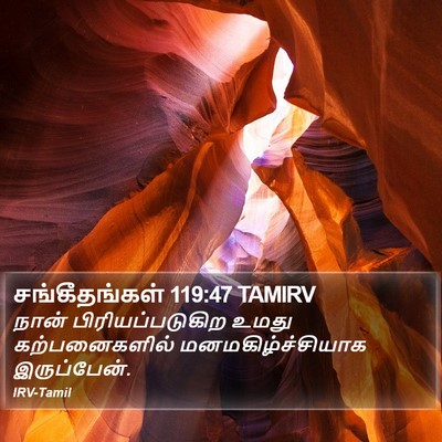 சங்கீதங்கள் 119:47 TAMIRV Bible Verse Image