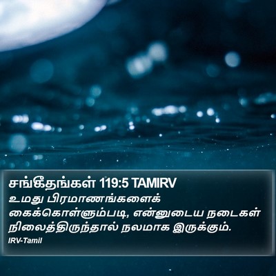 சங்கீதங்கள் 119:5 TAMIRV Bible Verse Image