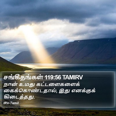 சங்கீதங்கள் 119:56 TAMIRV Bible Verse Image