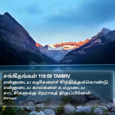 சங்கீதங்கள் 119:59 TAMIRV Bible Verse Image