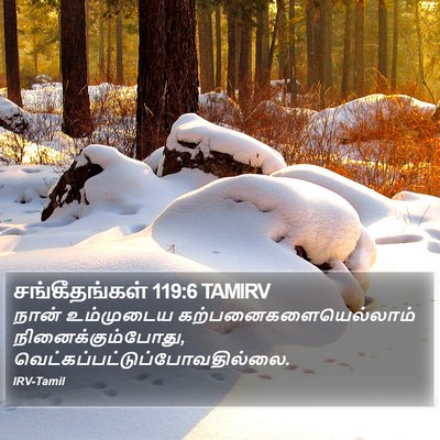 சங்கீதங்கள் 119:6 TAMIRV Bible Verse Image