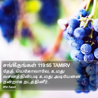 சங்கீதங்கள் 119:65 TAMIRV Bible Verse Image