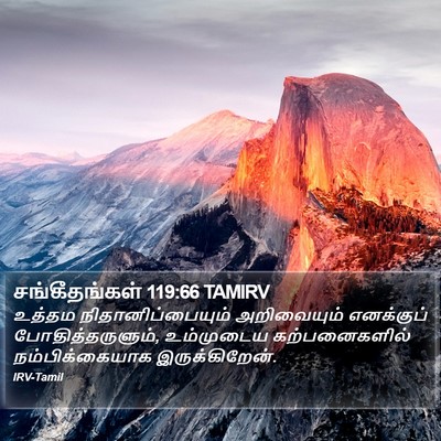 சங்கீதங்கள் 119:66 TAMIRV Bible Verse Image