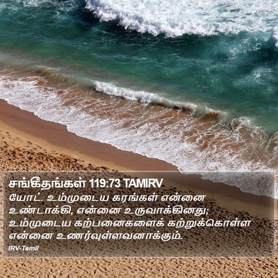 சங்கீதங்கள் 119:73 TAMIRV Bible Verse Image