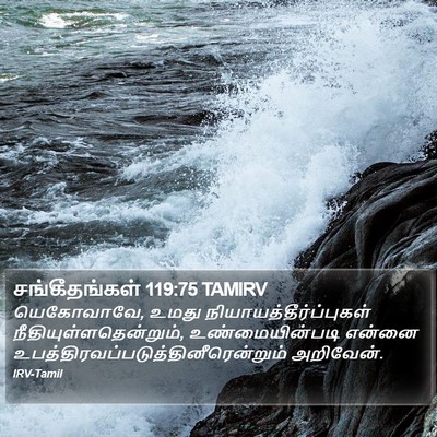 சங்கீதங்கள் 119:75 TAMIRV Bible Verse Image