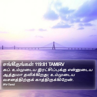 சங்கீதங்கள் 119:81 TAMIRV Bible Verse Image