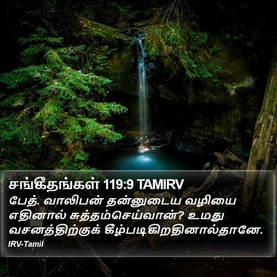 சங்கீதங்கள் 119:9 TAMIRV Bible Verse Image