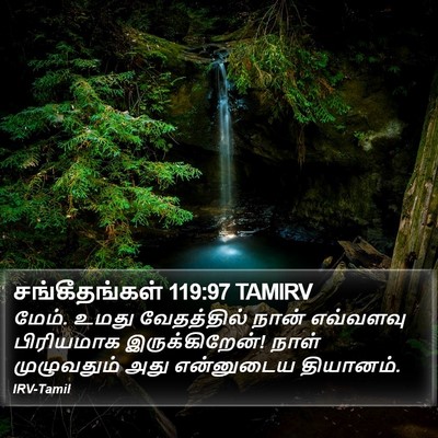 சங்கீதங்கள் 119:97 TAMIRV Bible Verse Image