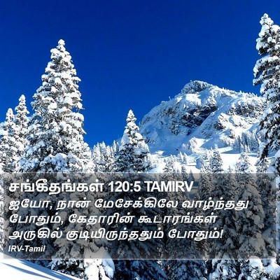 சங்கீதங்கள் 120:5 TAMIRV Bible Verse Image