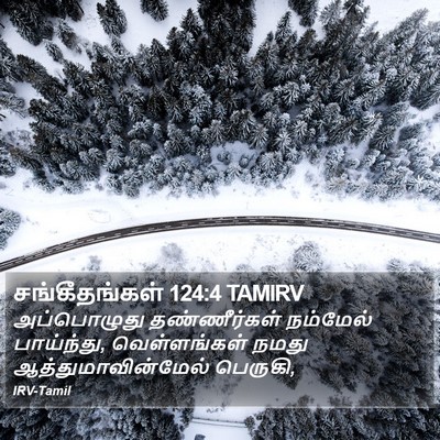 சங்கீதங்கள் 124:4 TAMIRV Bible Verse Image