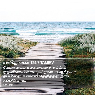 சங்கீதங்கள் 124:7 TAMIRV Bible Verse Image