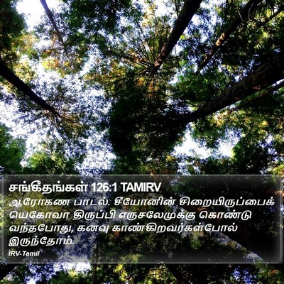சங்கீதங்கள் 126:1 TAMIRV Bible Verse Image