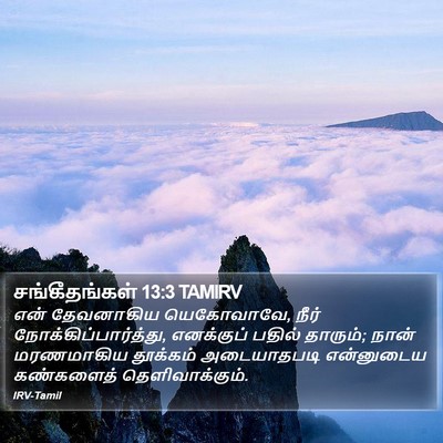 சங்கீதங்கள் 13:3 TAMIRV Bible Verse Image
