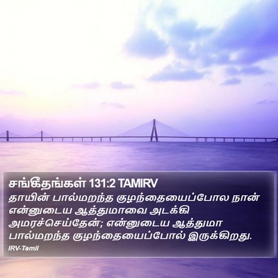 சங்கீதங்கள் 131:2 TAMIRV Bible Verse Image