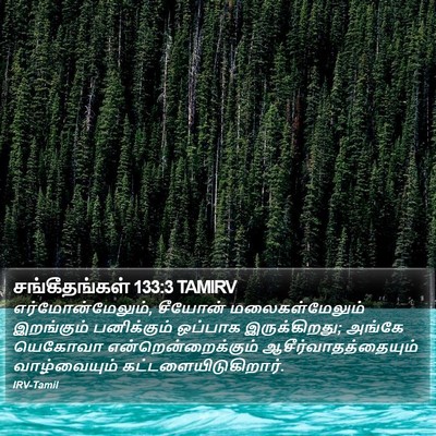 சங்கீதங்கள் 133:3 TAMIRV Bible Verse Image