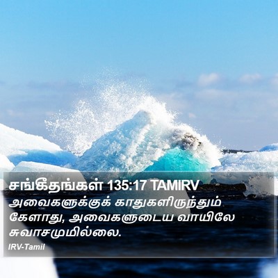 சங்கீதங்கள் 135:17 TAMIRV Bible Verse Image