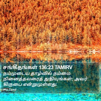 சங்கீதங்கள் 136:23 TAMIRV Bible Verse Image