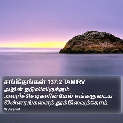 சங்கீதங்கள் 137:2 TAMIRV Bible Verse Image