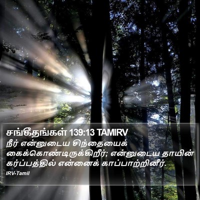 சங்கீதங்கள் 139:13 TAMIRV Bible Verse Image