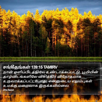 சங்கீதங்கள் 139:15 TAMIRV Bible Verse Image