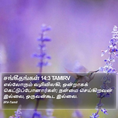 சங்கீதங்கள் 14:3 TAMIRV Bible Verse Image
