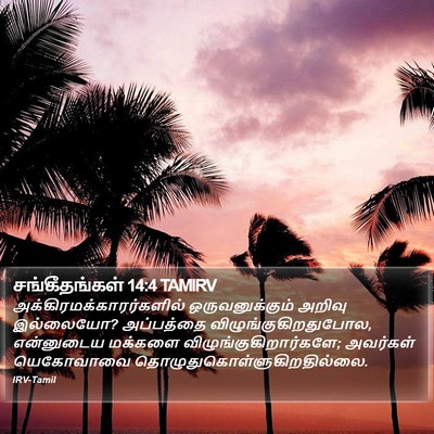 சங்கீதங்கள் 14:4 TAMIRV Bible Verse Image
