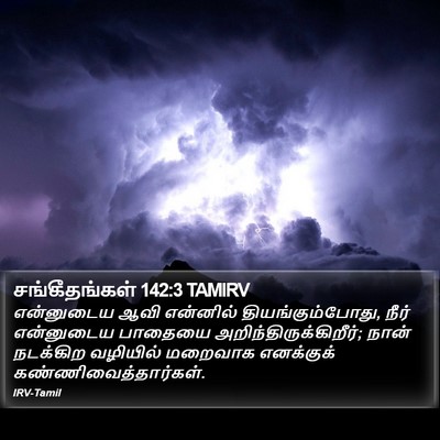 சங்கீதங்கள் 142:3 TAMIRV Bible Verse Image