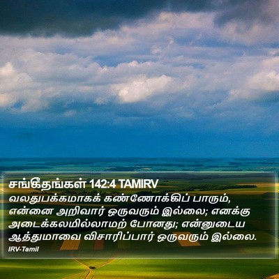 சங்கீதங்கள் 142:4 TAMIRV Bible Verse Image