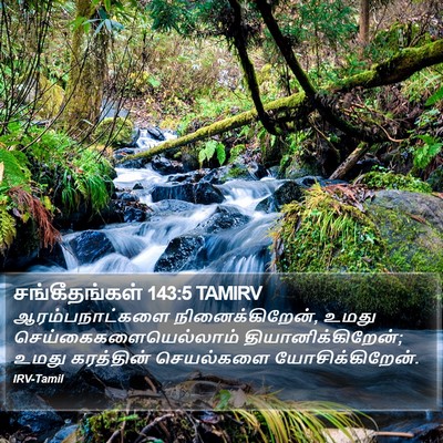 சங்கீதங்கள் 143:5 TAMIRV Bible Verse Image