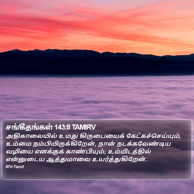 சங்கீதங்கள் 143:8 TAMIRV Bible Verse Image