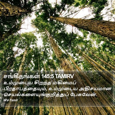 சங்கீதங்கள் 145:5 TAMIRV Bible Verse Image