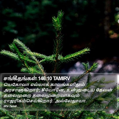 சங்கீதங்கள் 146:10 TAMIRV Bible Verse Image